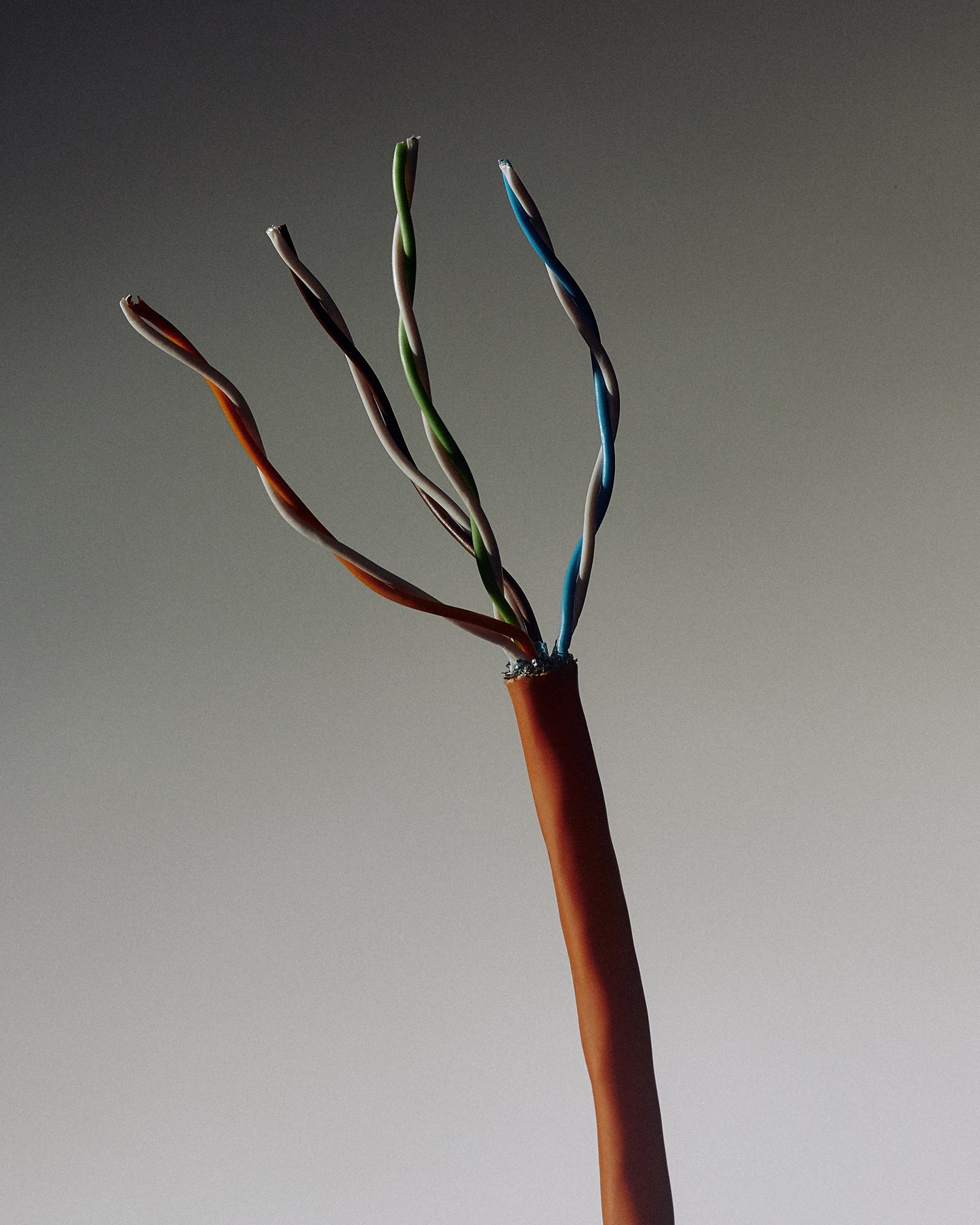 DTS_Fanette-Guilloud_Internet_04